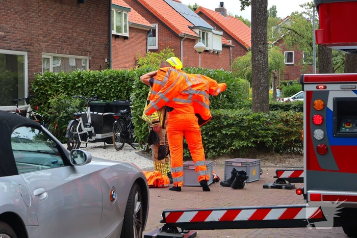 natuur heideveldweg laren