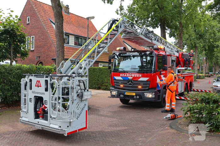 Gevaarlijke tak in boom verwijderd door brandweer