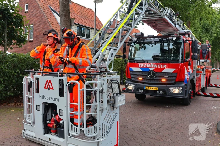 Gevaarlijke tak in boom verwijderd door brandweer