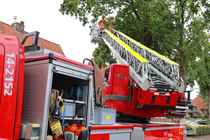Gevaarlijke tak in boom verwijderd door brandweer
