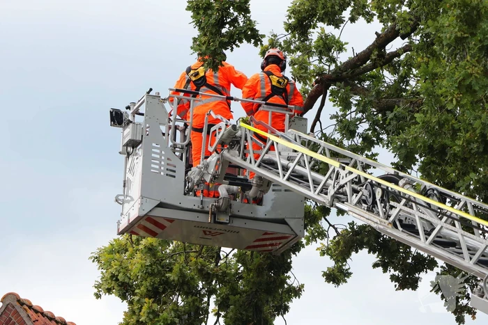 Gevaarlijke tak in boom verwijderd door brandweer