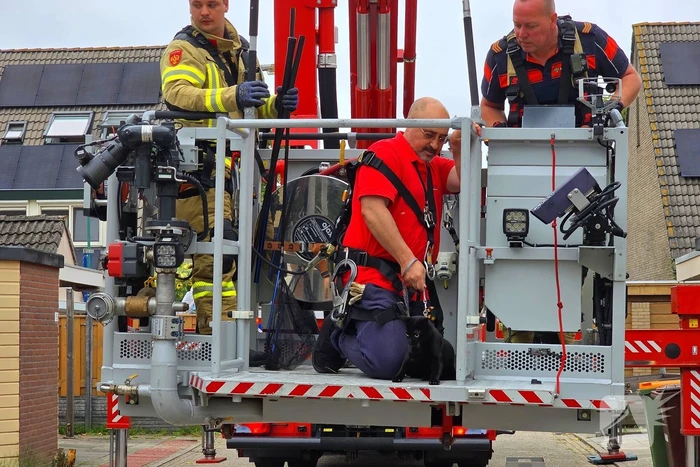 nieuws johanna haanenstraat ede