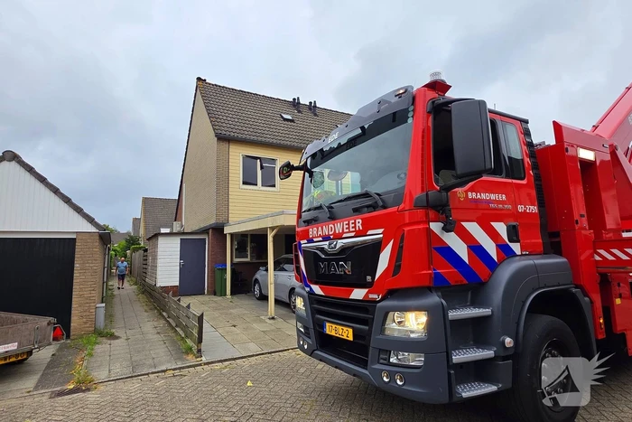 Kat in het bakkie voor Torito