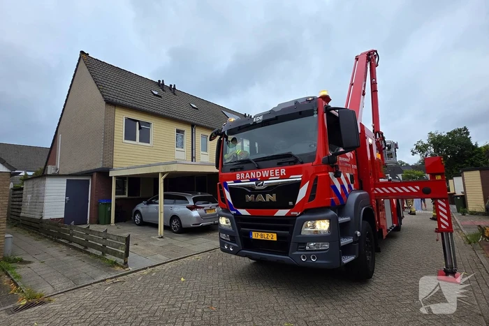 Kat in het bakkie voor Torito