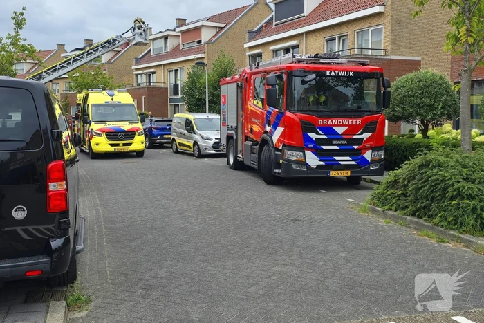 nieuws graslelie katwijk