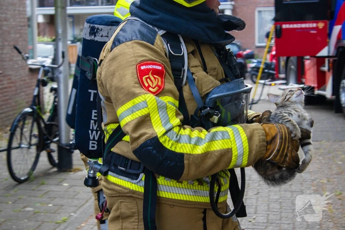 brand boxmeersingel tilburg