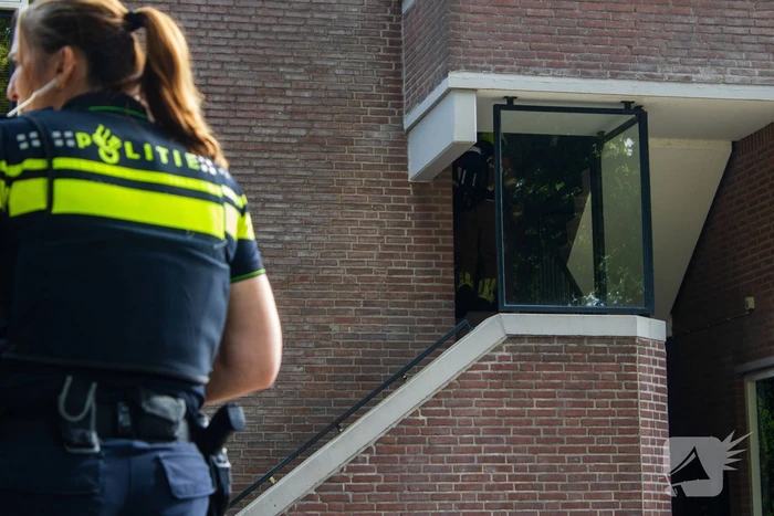 Kittens en kat gered bij brand in woning