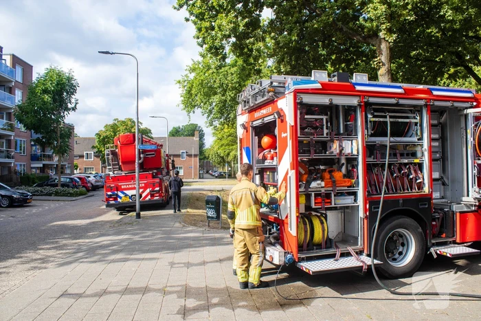 Kittens en kat gered bij brand in woning