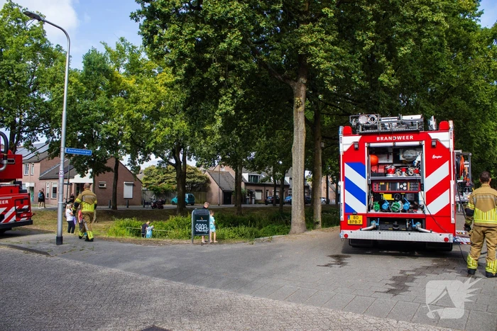 Kittens en kat gered bij brand in woning