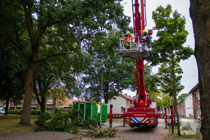 Brandweer verwijdert loshangende takken