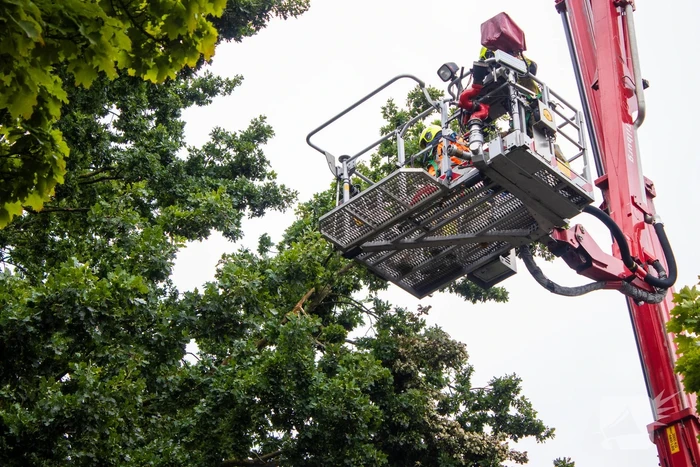 Brandweer verwijdert loshangende takken