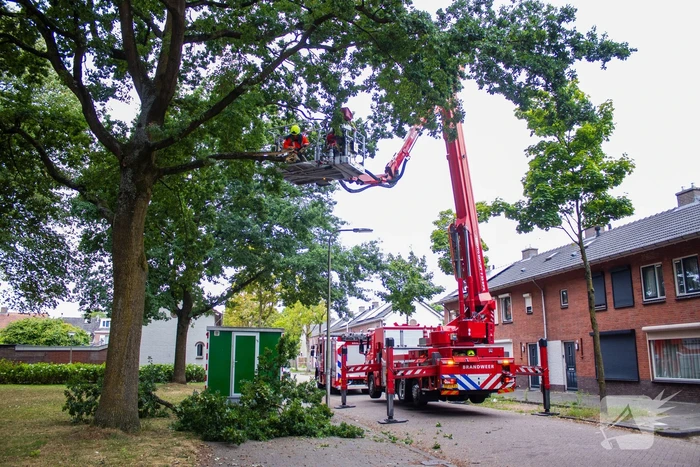 Brandweer verwijdert loshangende takken