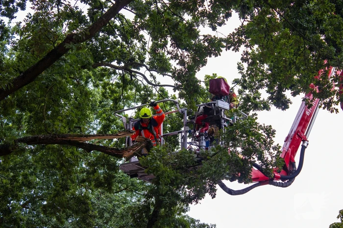 Brandweer verwijdert loshangende takken