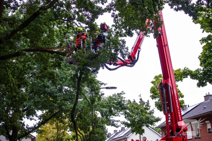 Brandweer verwijdert loshangende takken