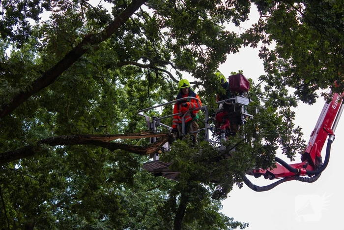 Brandweer verwijdert loshangende takken