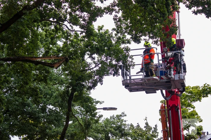 Brandweer verwijdert loshangende takken