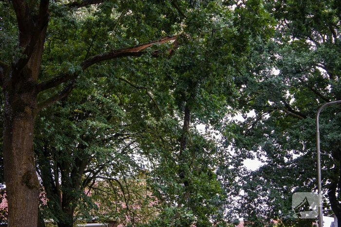 Brandweer verwijdert loshangende takken