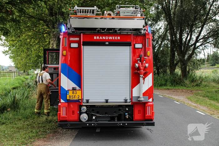 Paard in het water gered door brandweer