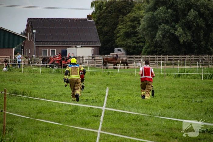 Paard in het water gered door brandweer