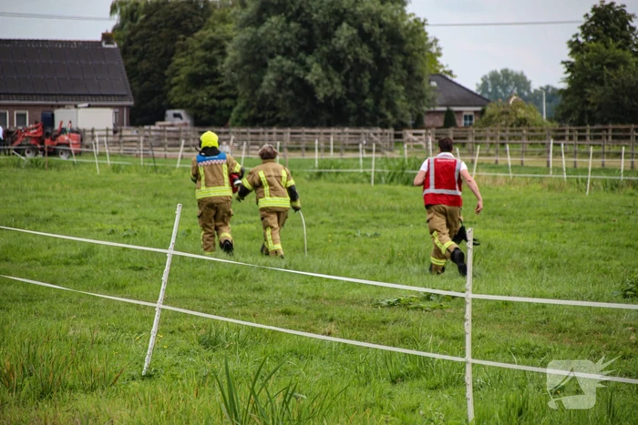 Paard in het water gered door brandweer