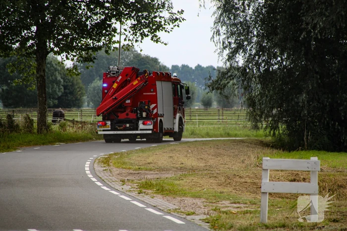 Paard in het water gered door brandweer