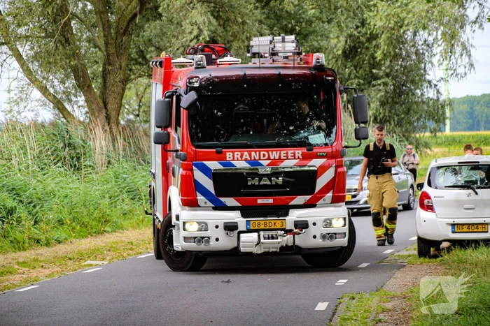 Paard in het water gered door brandweer