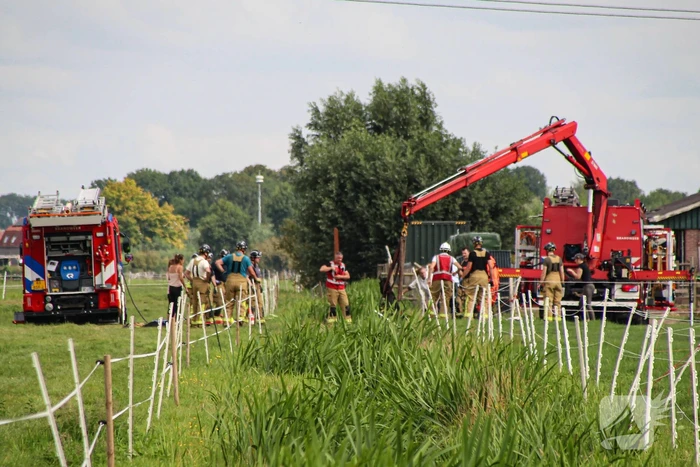 Paard in het water gered door brandweer