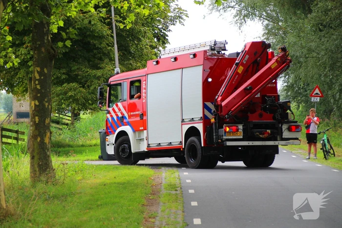 Paard in het water gered door brandweer
