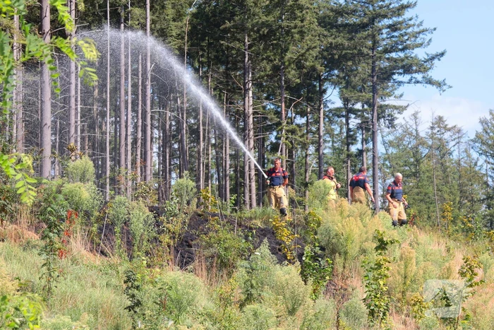 heidebrand snel onder controle na melding