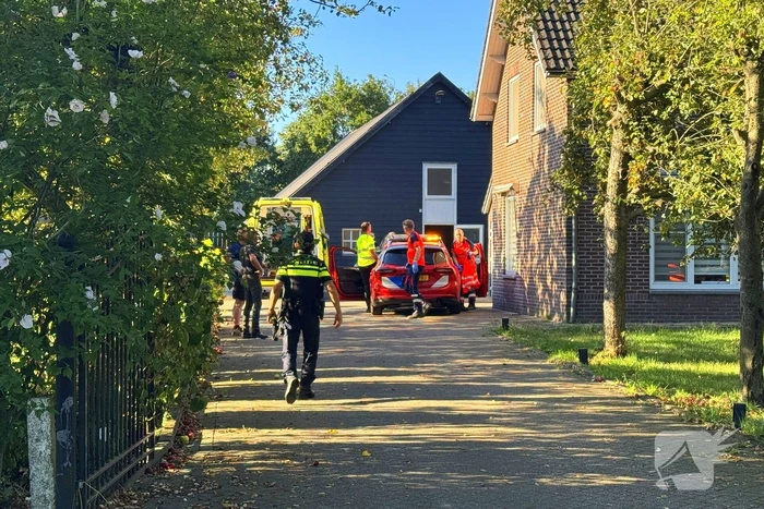 Man raakt gewond door paard tijdens verzorging