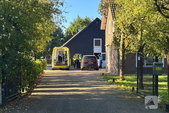 Man raakt gewond door paard tijdens verzorging