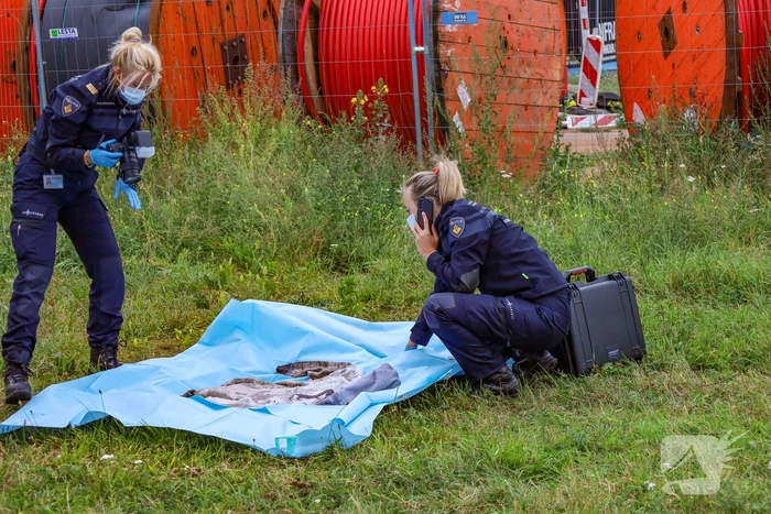 17-jarige overleden aangetroffen