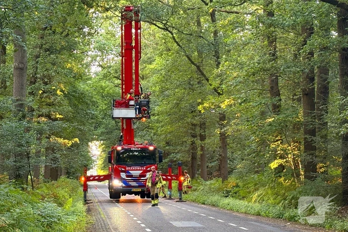 natuur heinoseweg dalfsen