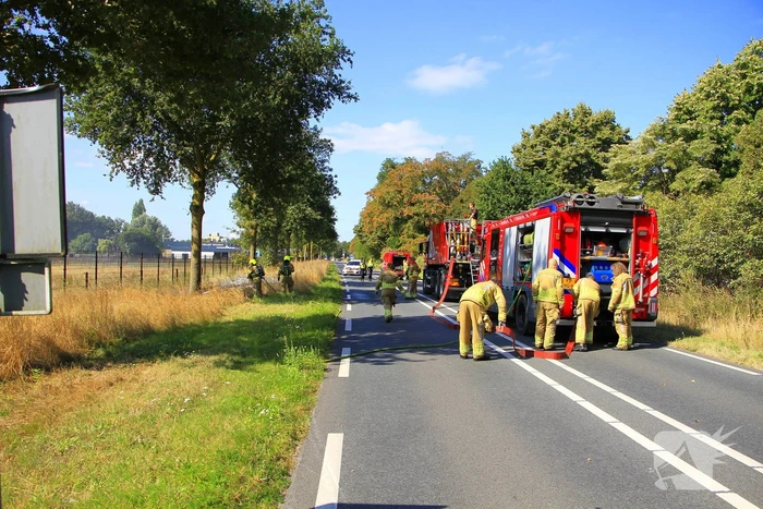 Paarden in veiligheid na bermbrand