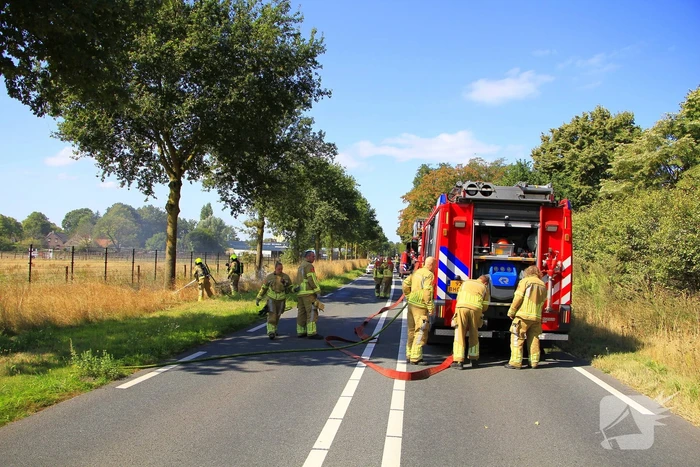 Paarden in veiligheid na bermbrand