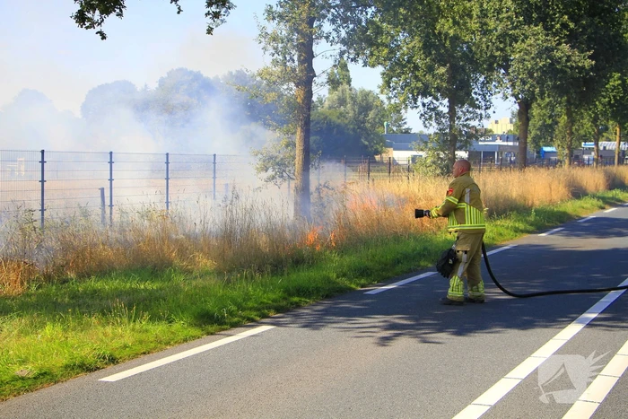 Paarden in veiligheid na bermbrand