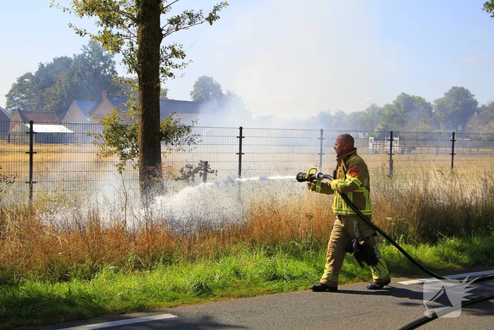Paarden in veiligheid na bermbrand