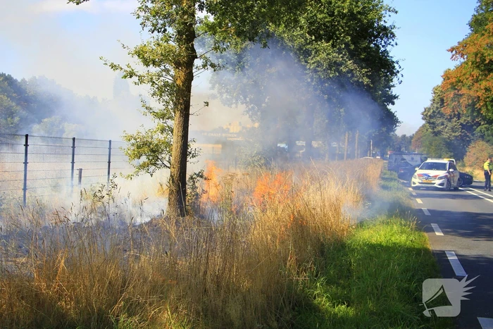 Paarden in veiligheid na bermbrand