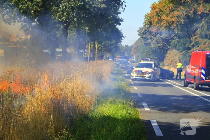 Paarden in veiligheid na bermbrand