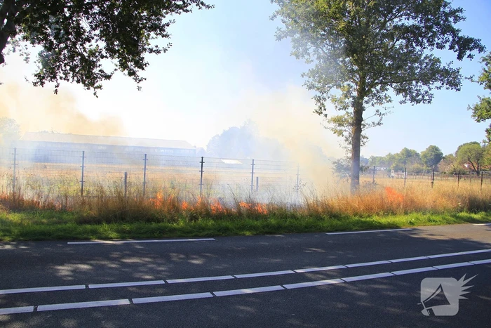 Paarden in veiligheid na bermbrand