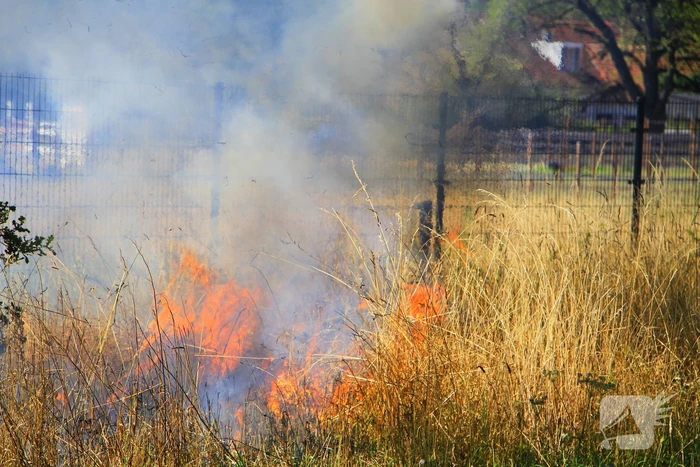 Paarden in veiligheid na bermbrand
