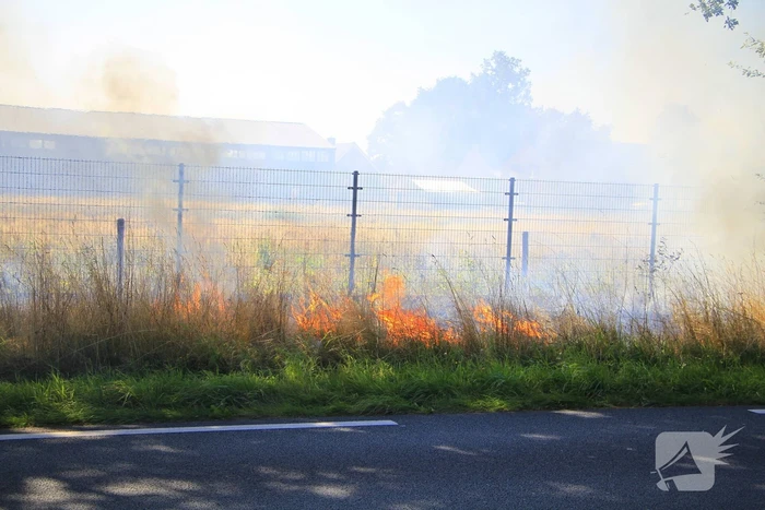Paarden in veiligheid na bermbrand