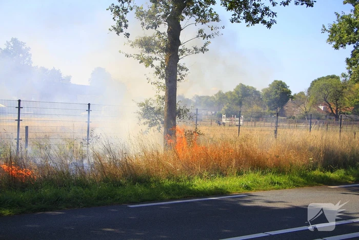 Paarden in veiligheid na bermbrand