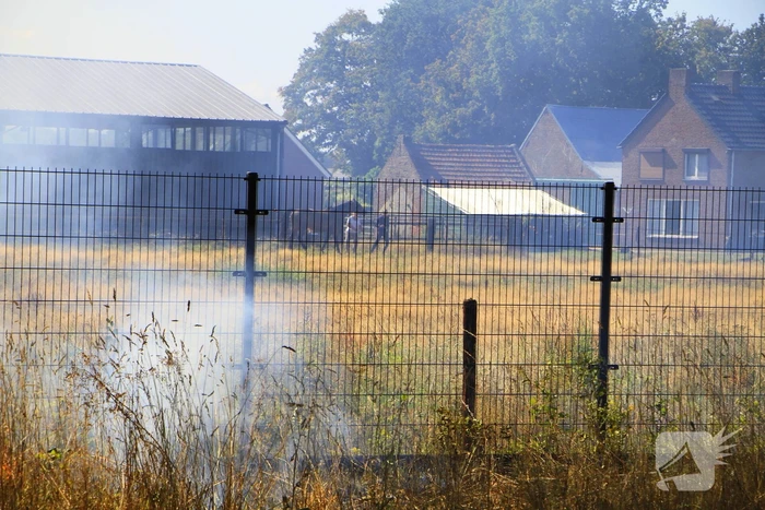 Paarden in veiligheid na bermbrand