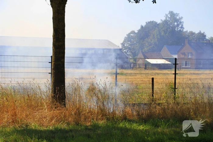 Paarden in veiligheid na bermbrand