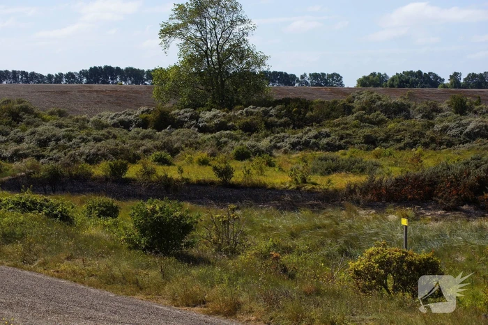Brandweer groots ingezet na explosie
