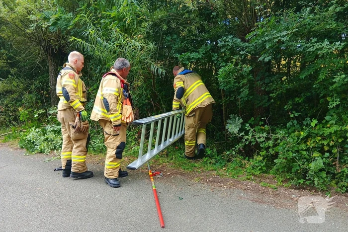 Schaap in nood gered door brandweer