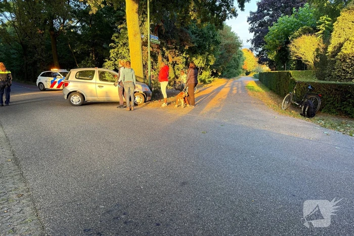 Auto botst tegen lantaarnpaal en fietser aangereden