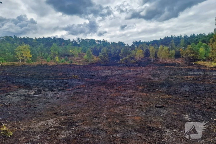 Heidebrand veroorzaakt forse schade