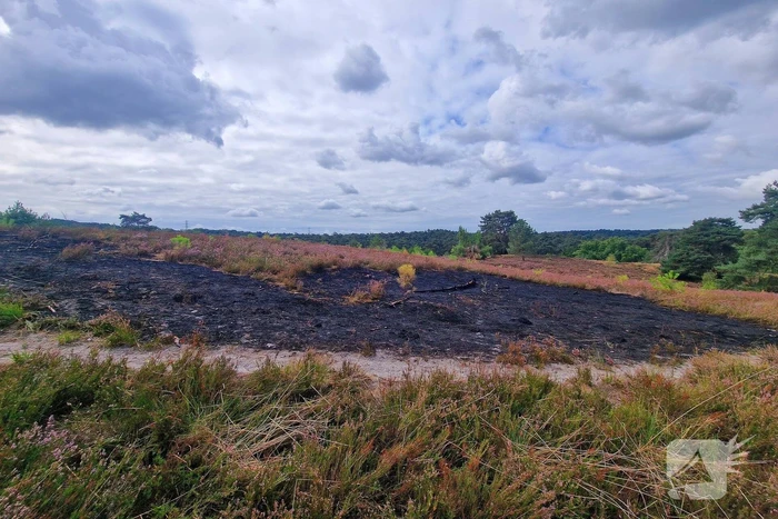 Heidebrand veroorzaakt forse schade